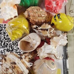Hermit crab Shells .5 to 1 inch Assorted 12 Pack